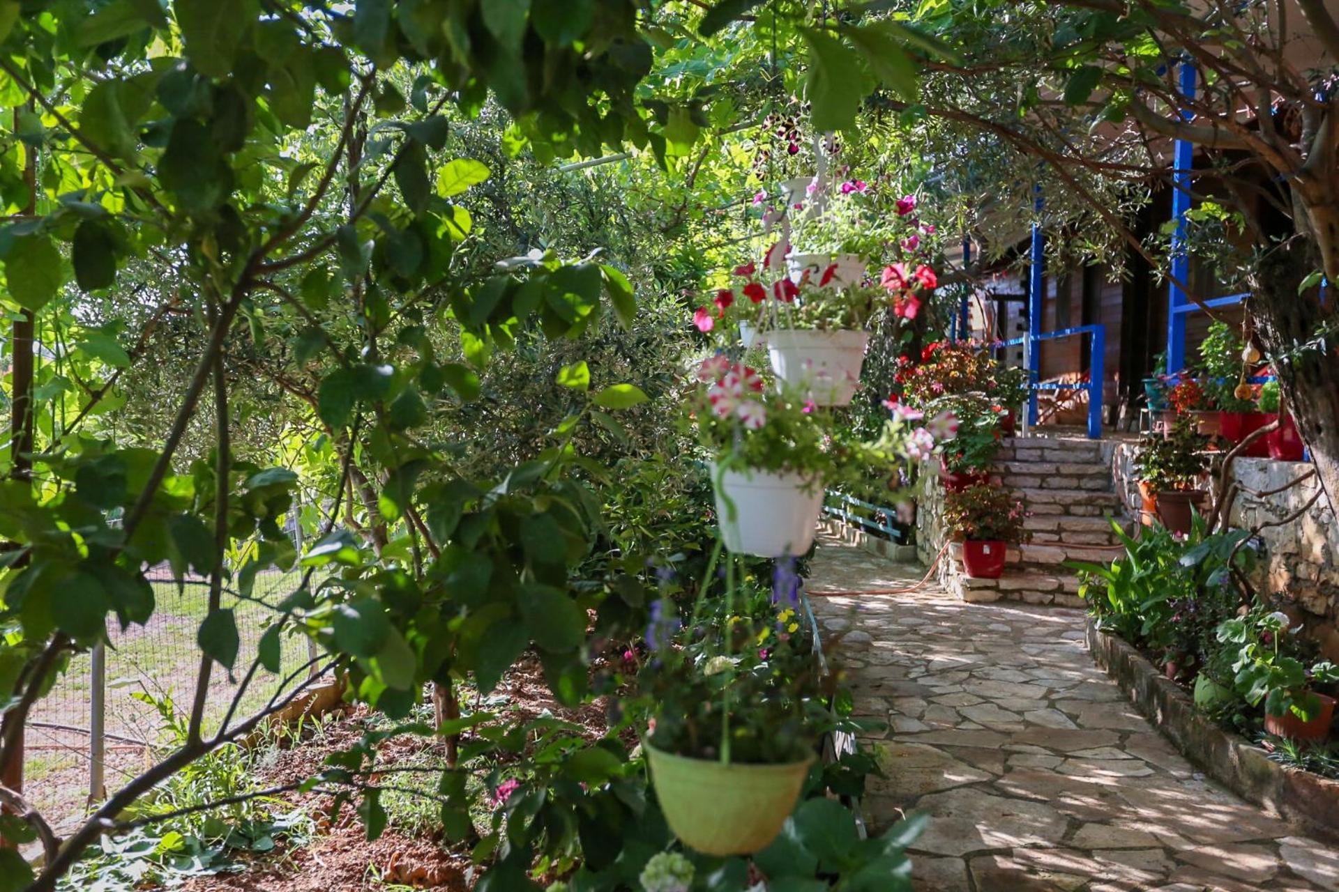 Motel Holiwood à Himarë Extérieur photo